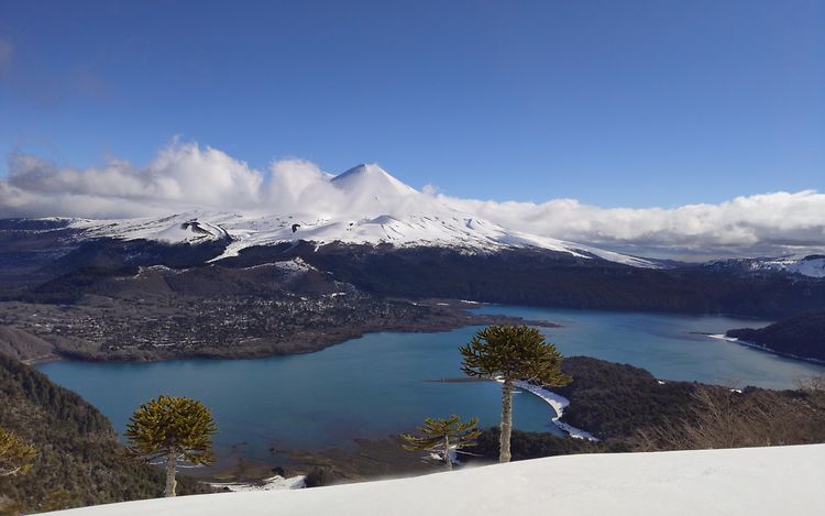 JIG Alexander Ehrenberg