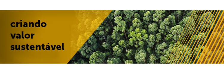 Criando valor sustentavel