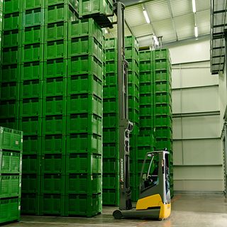 Jungheinrich v Bohemia Apple