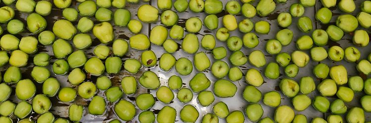 Jungheinrich v Bohemia Apple