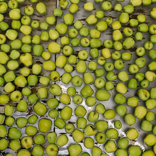 Jungheinrich v Bohemia Apple