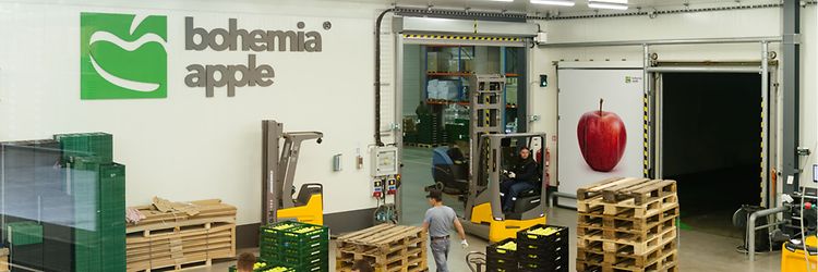 Jungheinrich v Bohemia Apple