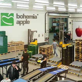 Jungheinrich v Bohemia Apple