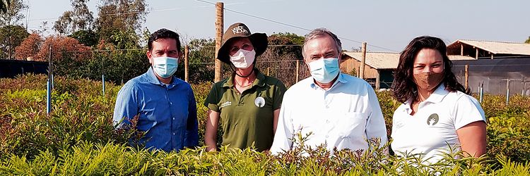 Arboles_-Jungheinrich_Brasil