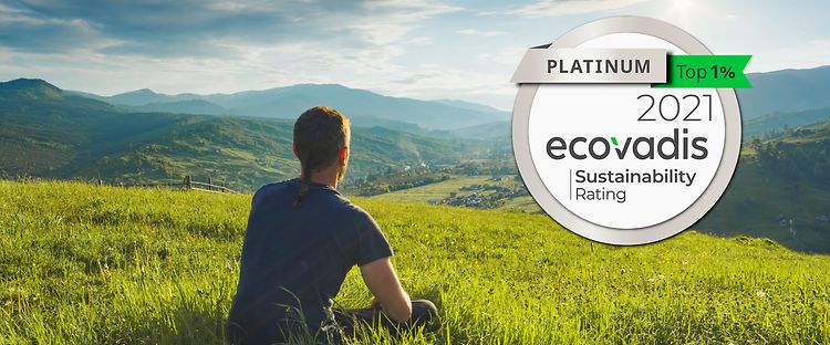 Ecovadis2 2022