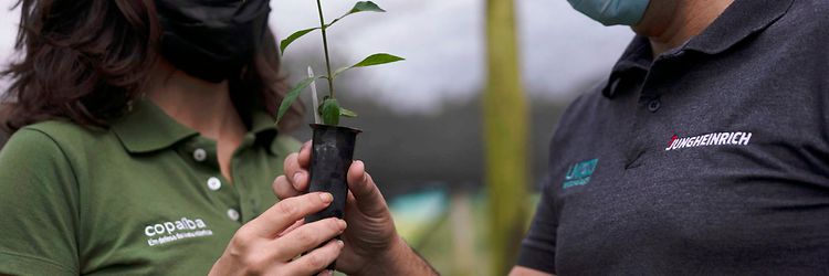 Stage + EFG campanha