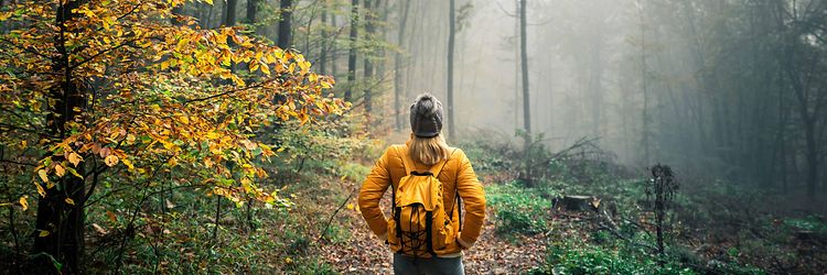 Sustainability Accordeon Picture 1