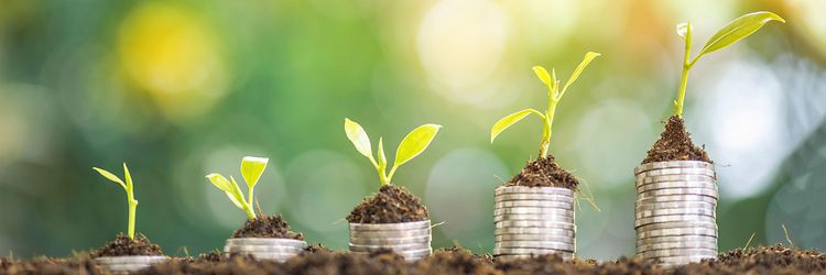 Sustainability Picture Systematic sustainability management