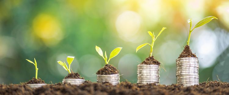 Sustainability Picture Systematic sustainability management