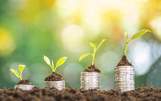 Sustainability Picture Systematic sustainability management