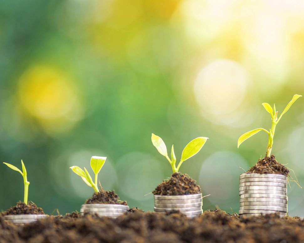 Sustainability Picture Systematic sustainability management