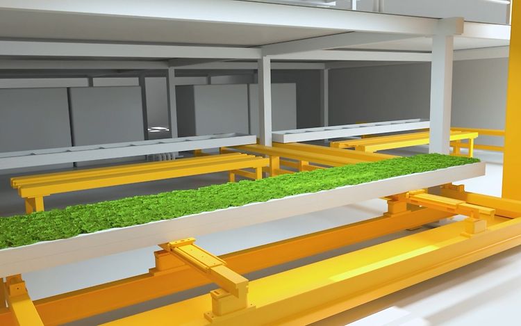 agircultural farming