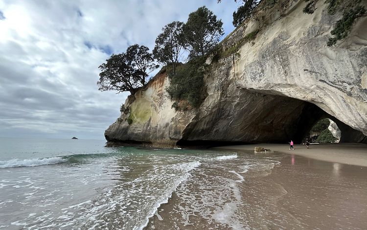 JIG Report Header Kleinwort