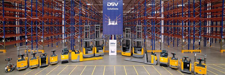 DSV 1