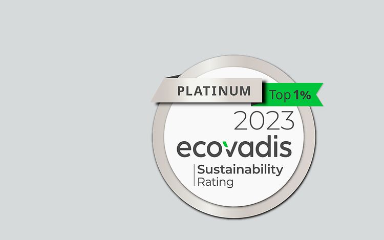 Picture Eco Vadis 2020