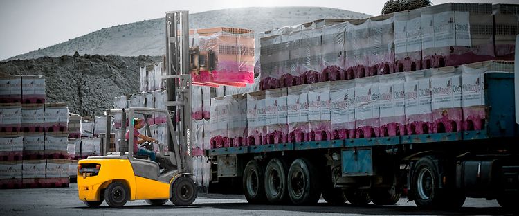 Używane wózki spalinowe teaser