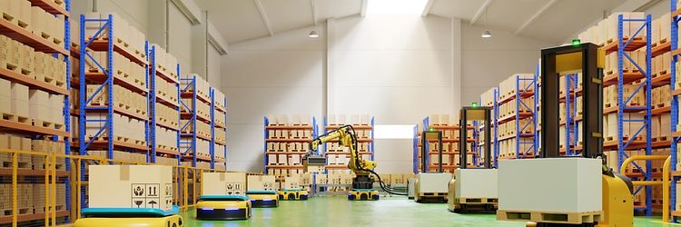 Wózki widłowe systemowe