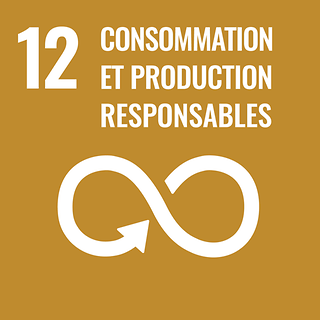 Picture - ODD Conso et production responsable