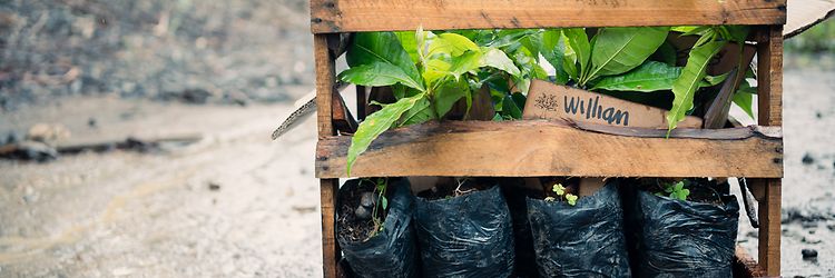 Sostenibilidad_Colombia