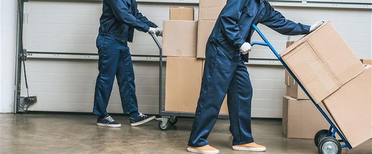 Picture - Profishop Matériel de transport