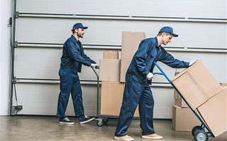 Picture - Profishop Matériel de transport