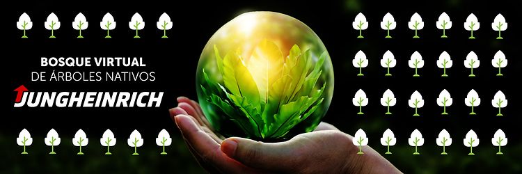 Bosque Virtual2