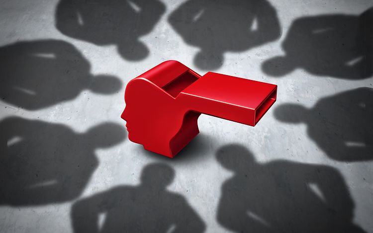 Openline text picture