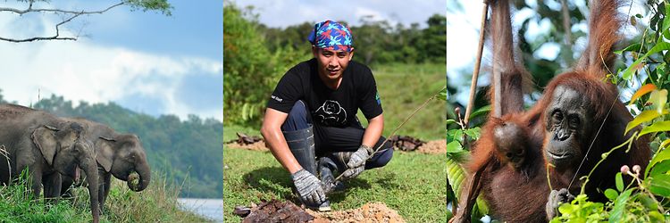 The Environment Wins Twice_Sabah