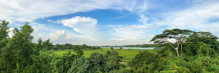 The Environment Wins Twice_OneMillionTrees