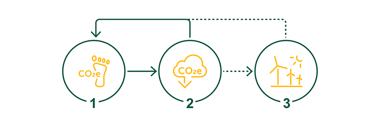 The four steps on the way to net zero