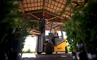 Sustainability - Opvatting Dr. Lars Brzoska