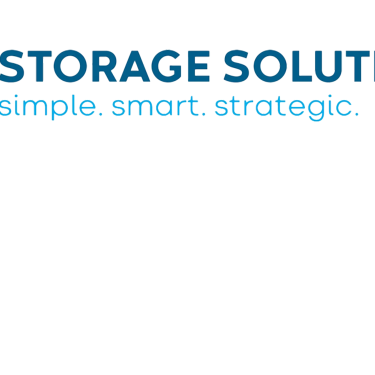 Picture_Storage Solutions Logo