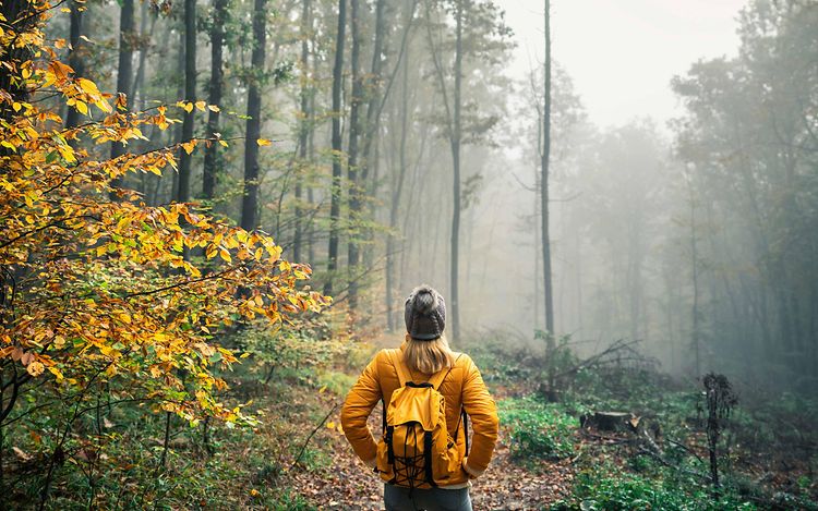 Picture Nachhaltigkeit 3