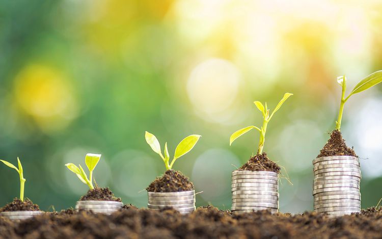 Picture Nachhaltigkeit 4