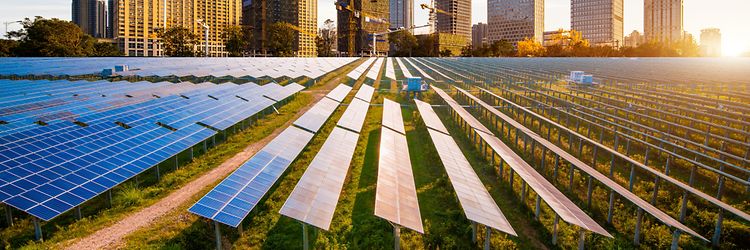 Panneaux photovoltaïques - picture