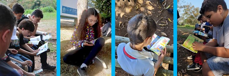 viva-a-mata-atlantica-fotos-escolas