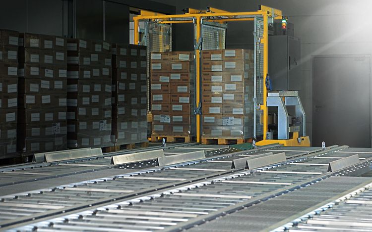 Picture 4 Palettenfördertechnik