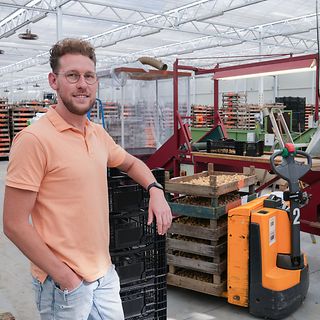 Verver Export download