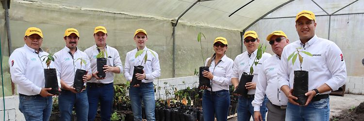 Picture Sustainibility new