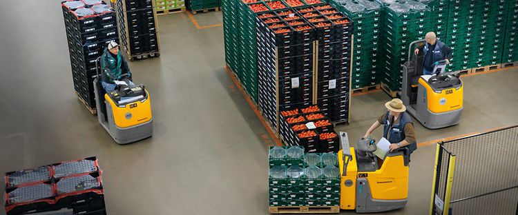 Referentie Reichenau-Gemüse Jungheinrich