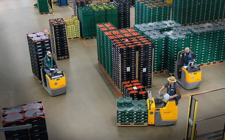 Référence Jungheinrich Reichenau-Gemüse