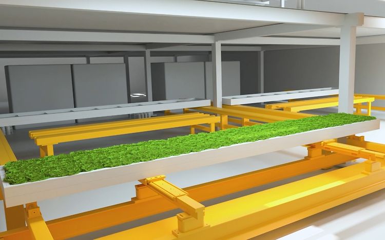 Nachhaltigkeit Stage bild