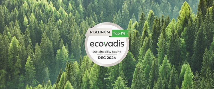 Jungheinrich EcoVadis 2024