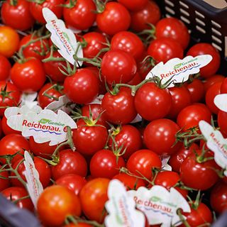 6 Gallery Case study Reichenau Gemüse