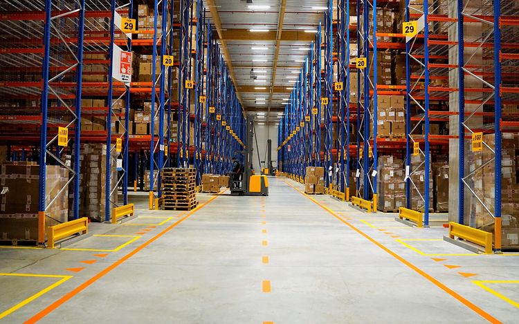 Case study Crocs Holanda