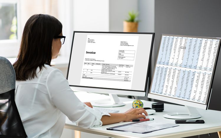 Woman at work (63798)