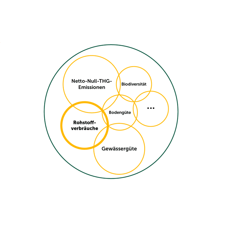 Grün-gelbe Grafik, in der sich überschneidende Kreise zeigen, dass Themen wie Rohstoffverbräuche und Emissionen zusammengehören.