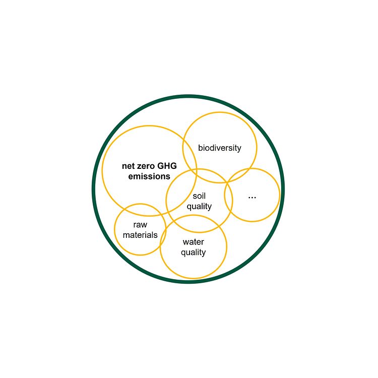 Overlapping circles show that topics such as raw material consumption and emissions belong together.