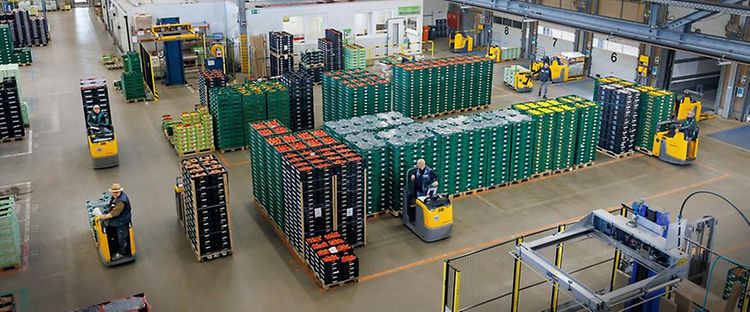 Tomatoes with Reichenau sign