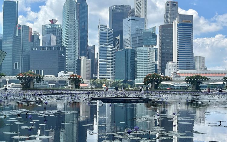 Picture Benedict- COM.DE